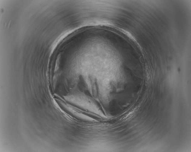 X0000053080943200508012002