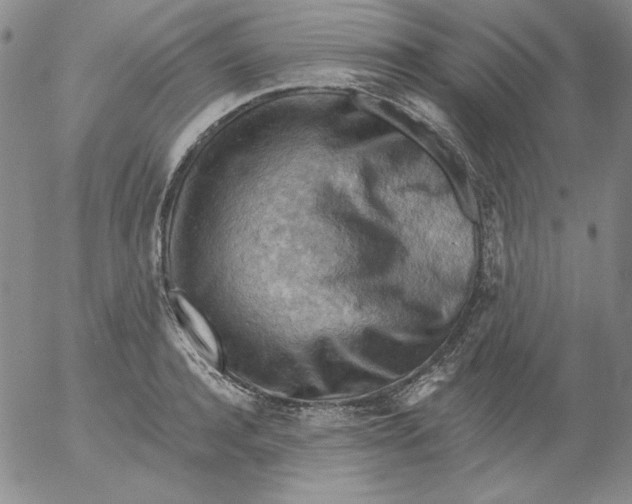 X0000053080944200508012002