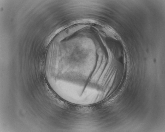 X0000053080945200508012002