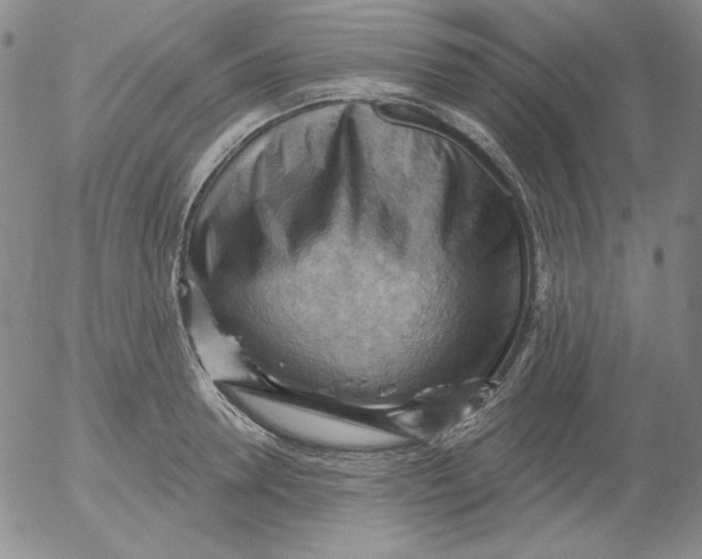 X0000053080946200508012002