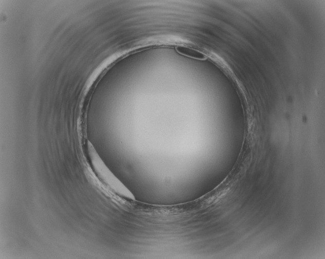 X0000053080947200508012002