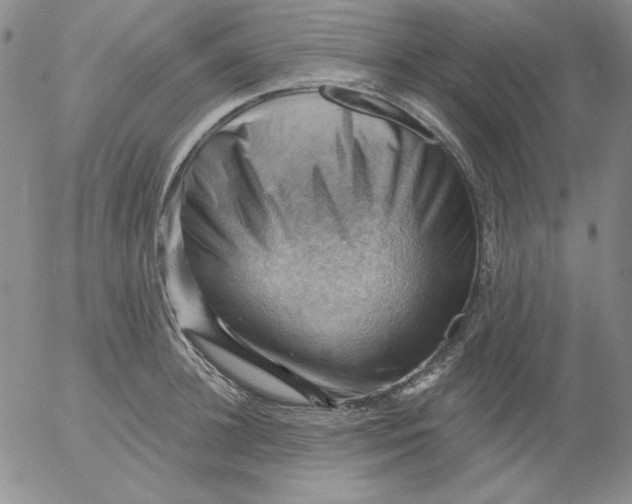 X0000053080948200508012002