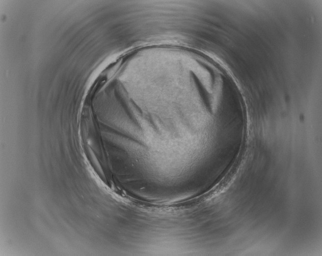 X0000053080949200508012002