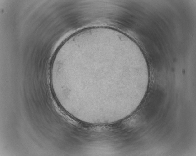 X0000053080950200508012002