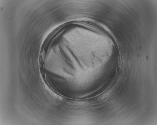 X0000053080951200508012003