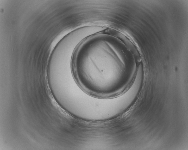 X0000053080952200508012003