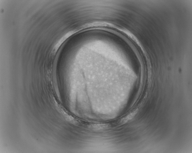 X0000053080953200508012003