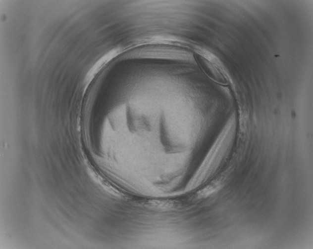 X0000053080954200508012003