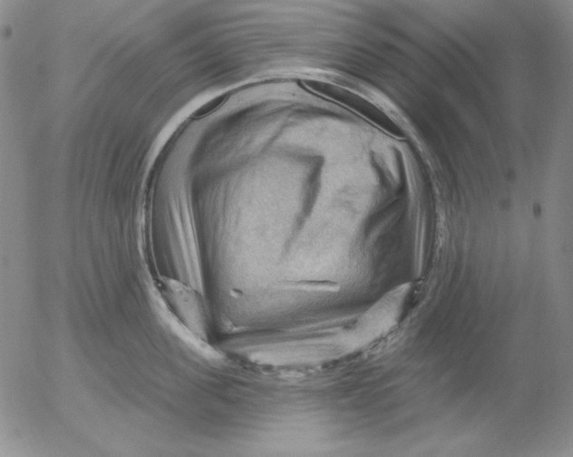 X0000053080955200508012003