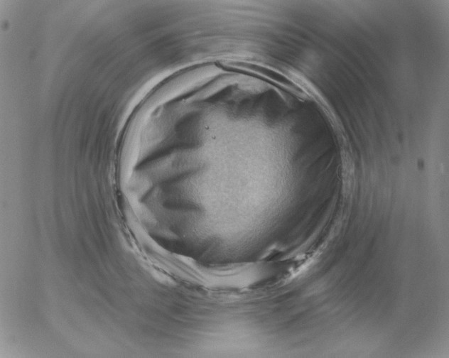 X0000053080956200508012003