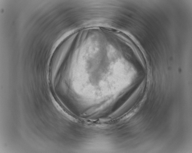 X0000053080957200508012003