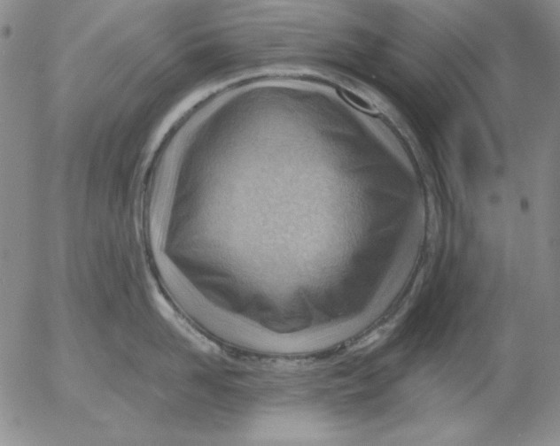 X0000053080958200508012003