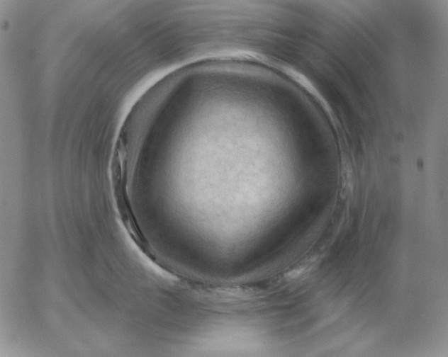 X0000053080959200508012003