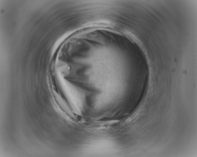 X0000053080960200508012003