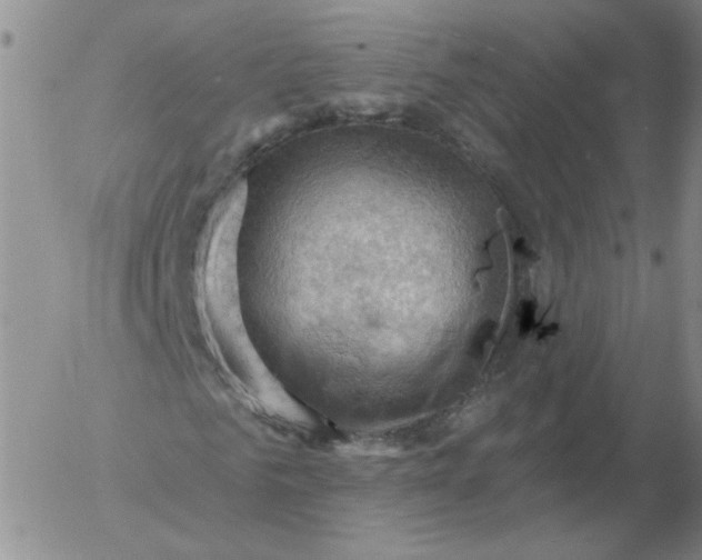 X0000053080961200508012002