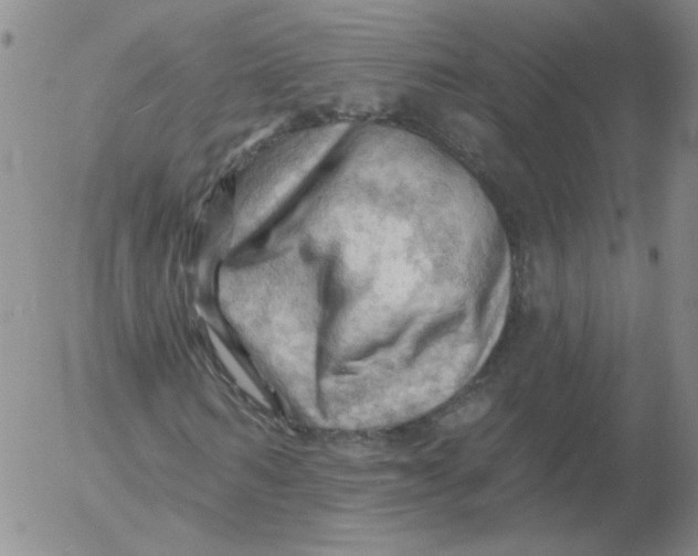 X0000053080962200508012002