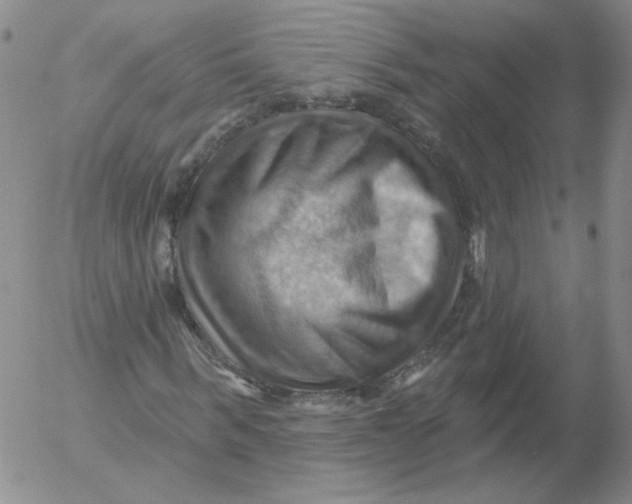 X0000053080963200508012002