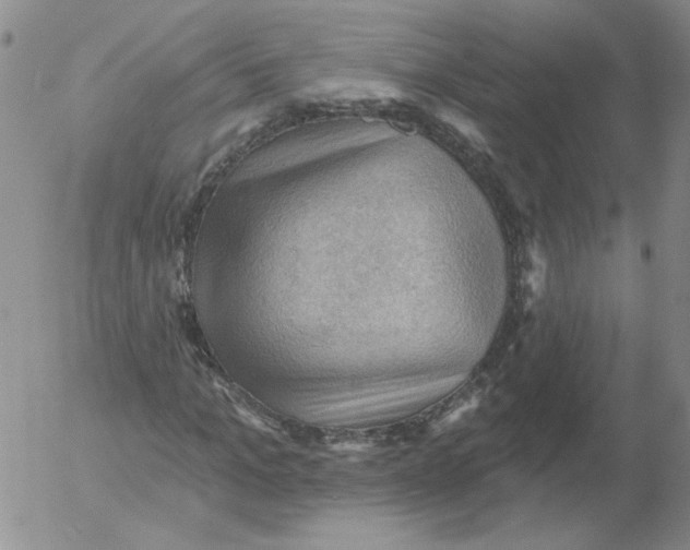 X0000053080965200508012002