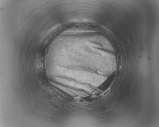 X0000053080966200508012002