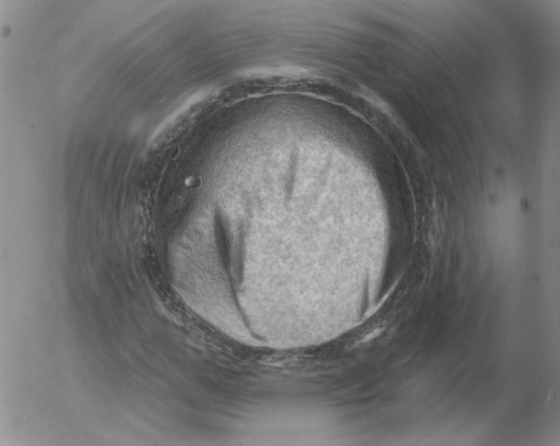 X0000053080967200508012002