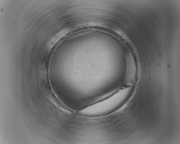 X0000053080969200508012002