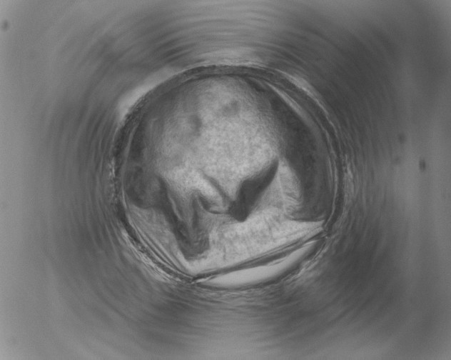 X0000053080971200508012002