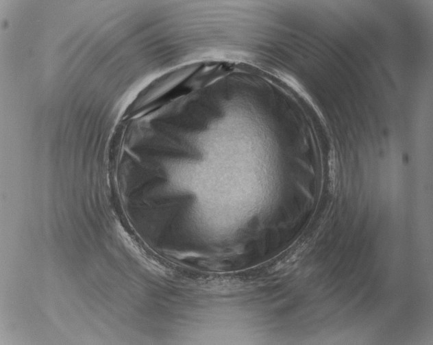 X0000053080972200508012002