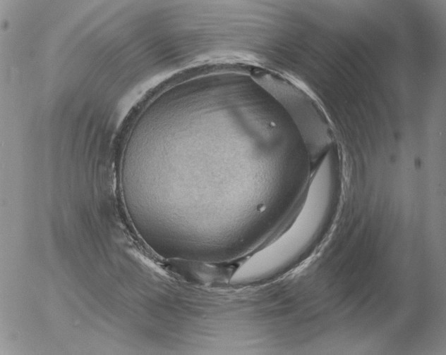 X0000053080973200508012002