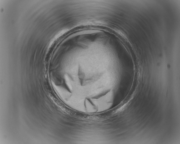 X0000053080974200508012002