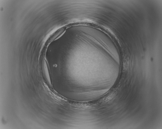 X0000053080975200508012002