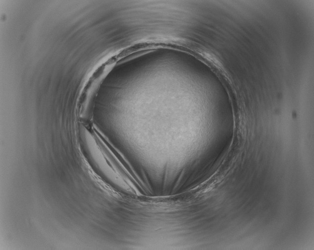 X0000053080976200508012002