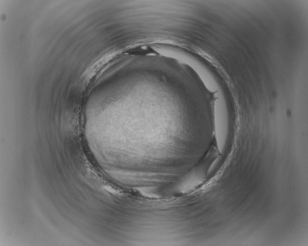 X0000053080977200508012002