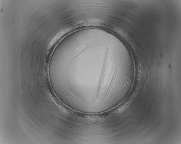 X0000053080978200508012002