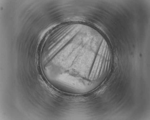 X0000053080979200508012002