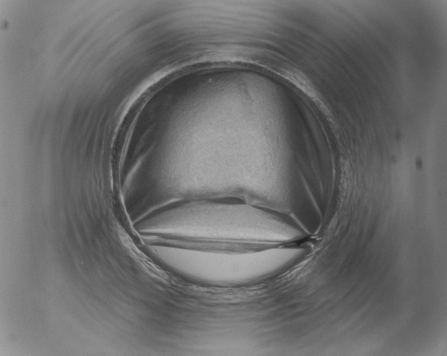 X0000053080980200508012002