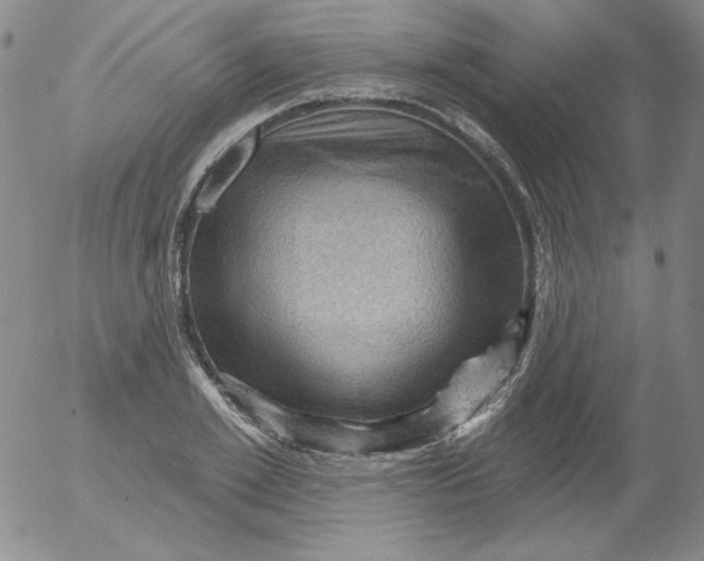 X0000053080981200508012002