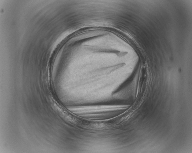 X0000053080982200508012001