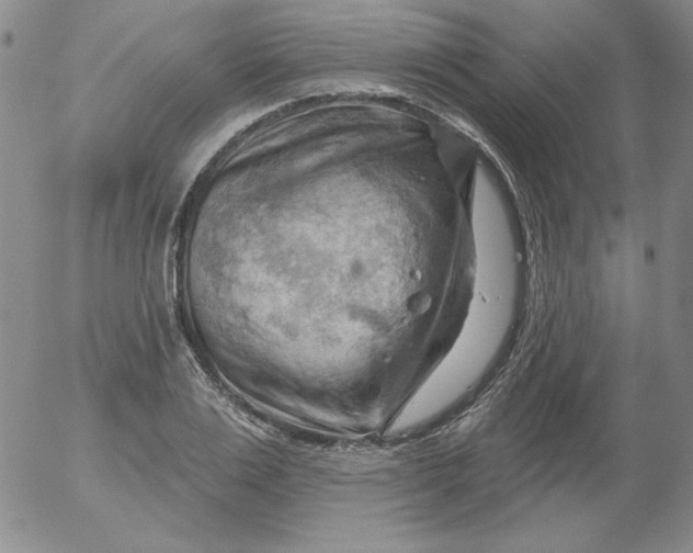 X0000053080983200508012001