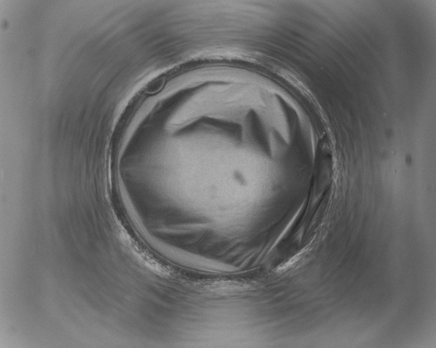 X0000053080984200508012001