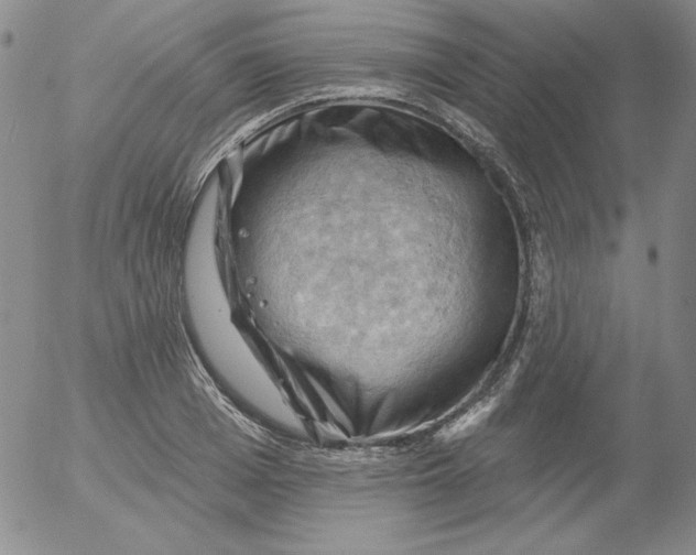 X0000053080985200508012001