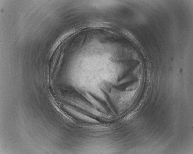 X0000053080986200508012001