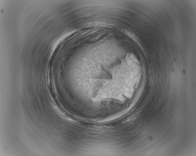 X0000053080987200508012001