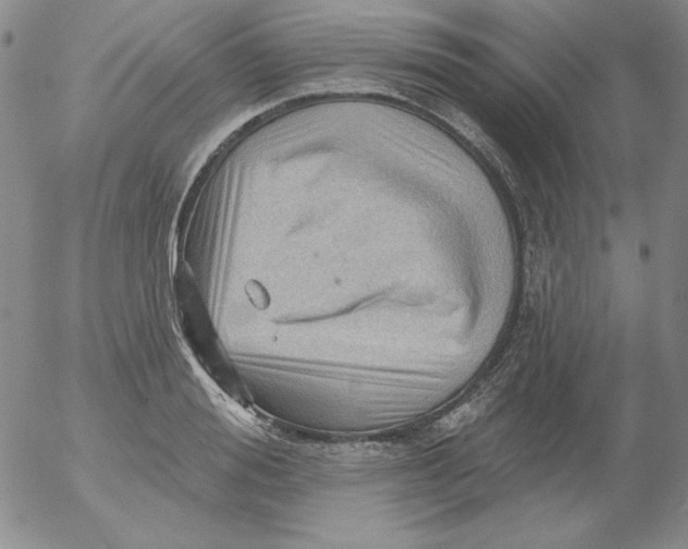 X0000053080988200508012001