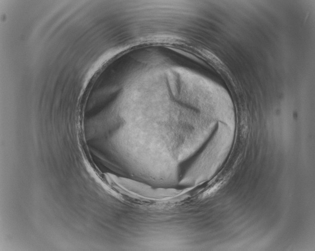 X0000053080989200508012001