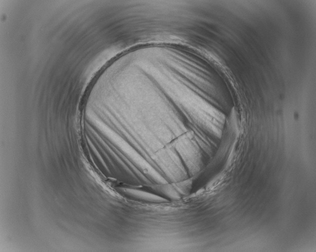 X0000053080990200508012001