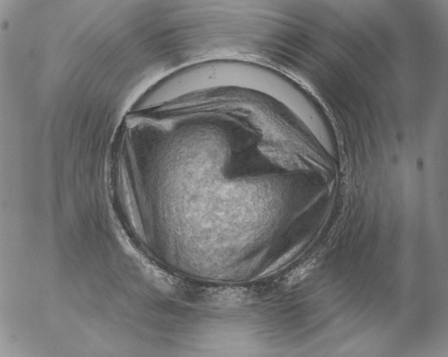 X0000053080991200508012001