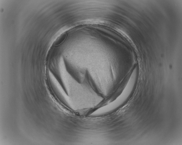 X0000053080992200508012001