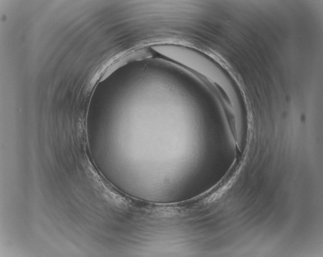 X0000053080993200508012001