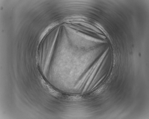 X0000053080994200508012001