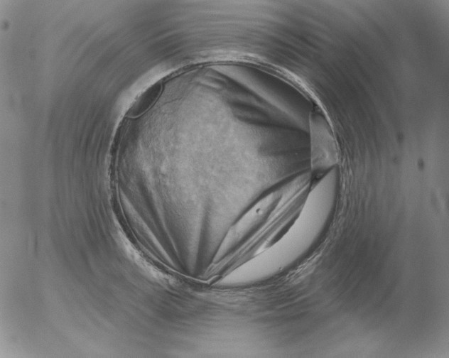 X0000053080995200508012001